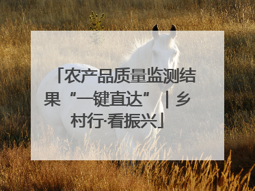 农产品质量监测结果“一键直达”｜乡村行·看振兴