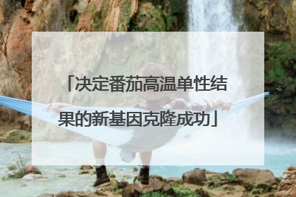 决定番茄高温单性结果的新基因克隆成功