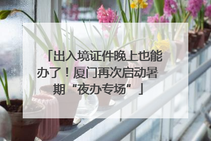 出入境证件晚上也能办了！厦门再次启动暑期“夜办专场”