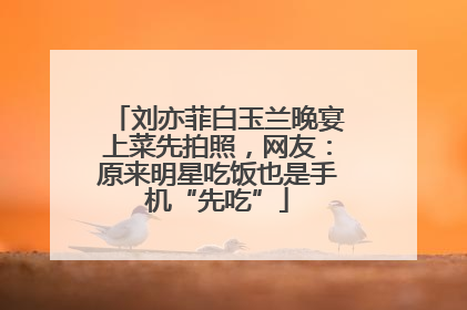 刘亦菲白玉兰晚宴上菜先拍照，网友：原来明星吃饭也是手机“先吃”