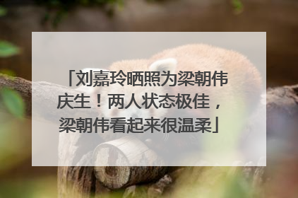 刘嘉玲晒照为梁朝伟庆生！两人状态极佳，梁朝伟看起来很温柔