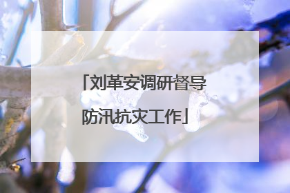 刘革安调研督导防汛抗灾工作