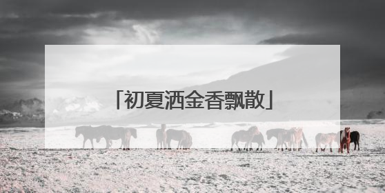 初夏洒金香飘散