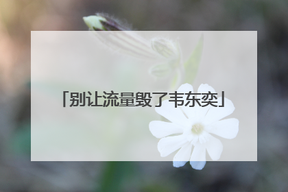 别让流量毁了韦东奕