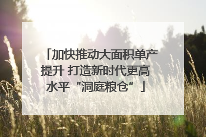 加快推动大面积单产提升 打造新时代更高水平“洞庭粮仓”