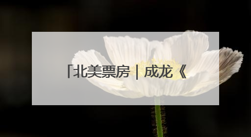 北美票房｜成龙《功夫梦》北美上映，反响低于预期