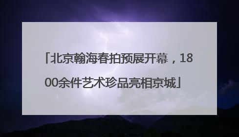北京翰海春拍预展开幕，1800余件艺术珍品亮相京城