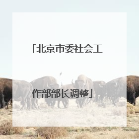 北京市委社会工作部部长调整