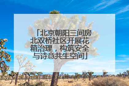 北京朝阳三间房北双桥社区开展花箱治理，构筑安全与诗意共生空间
