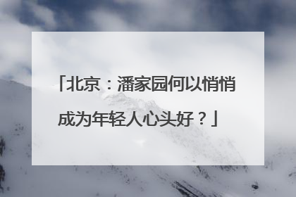 北京：潘家园何以悄悄成为年轻人心头好？