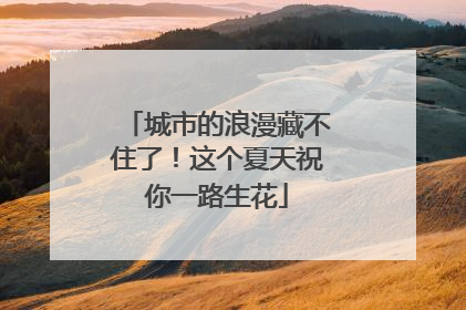 城市的浪漫藏不住了！这个夏天祝你一路生花