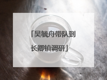 吴毓舟带队到长卿镇调研