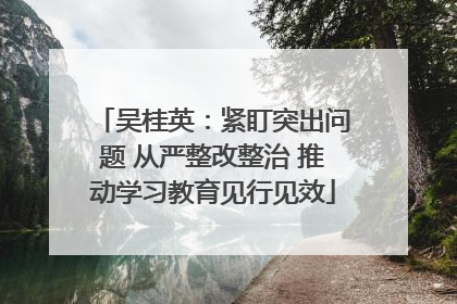 吴桂英：紧盯突出问题 从严整改整治 推动学习教育见行见效