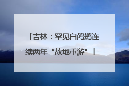 吉林：罕见白鸬鹚连续两年“故地重游”
