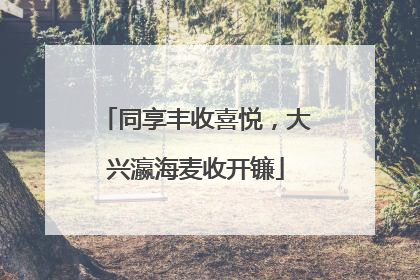 同享丰收喜悦，大兴瀛海麦收开镰