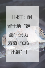 同江：闲置土地“逆袭”记 万寿菊“C位出道”