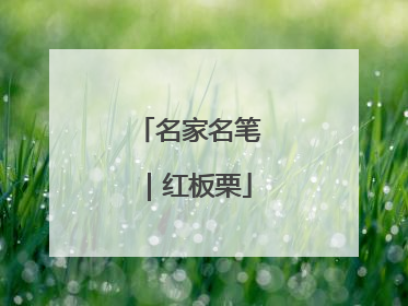 名家名笔｜红板栗