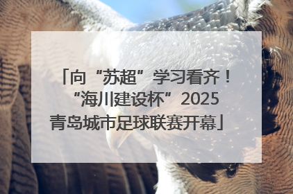 向“苏超”学习看齐！“海川建设杯”2025青岛城市足球联赛开幕