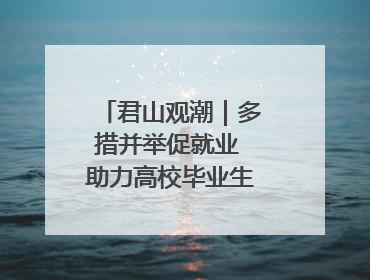 君山观潮｜多措并举促就业 助力高校毕业生逐梦远航