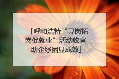 呼和浩特“寻岗拓岗促就业”活动收官 助企纾困显成效
