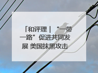 和评理｜“一带一路”促进共同发展 美国抹黑攻击酸味十足