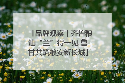品牌观察｜齐鲁粮油“兰”得一见 鲁甘共筑粮安新长城