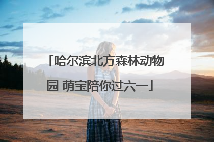 哈尔滨北方森林动物园 萌宝陪你过六一