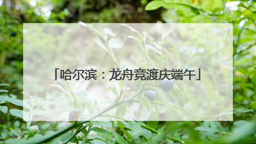 哈尔滨：龙舟竞渡庆端午
