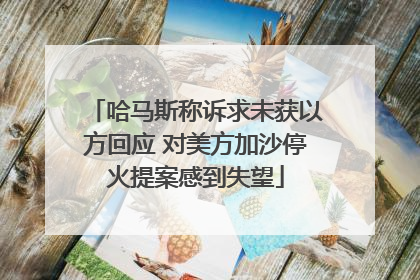 哈马斯称诉求未获以方回应 对美方加沙停火提案感到失望