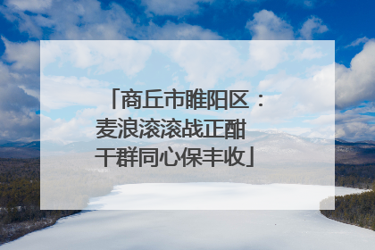 商丘市睢阳区：麦浪滚滚战正酣 干群同心保丰收