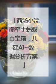 商汤小浣熊牵手蚂蚁百宝箱，共建AI+数据分析方案