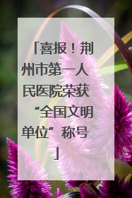 喜报！荆州市第一人民医院荣获“全国文明单位”称号