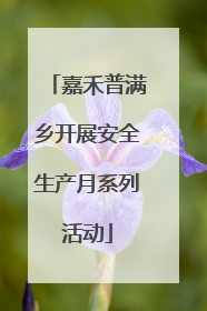 嘉禾普满乡开展安全生产月系列活动