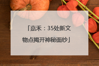 嘉禾：35处新文物点揭开神秘面纱