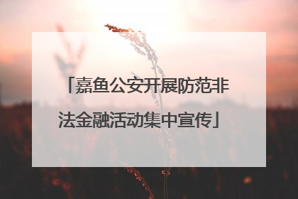 嘉鱼公安开展防范非法金融活动集中宣传