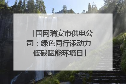 国网瑞安市供电公司：绿色同行添动力 低碳赋能环境日