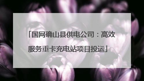 国网确山县供电公司：高效服务重卡充电站项目投运