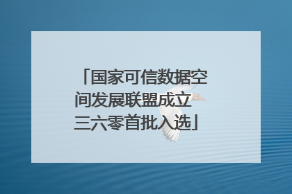 国家可信数据空间发展联盟成立 三六零首批入选