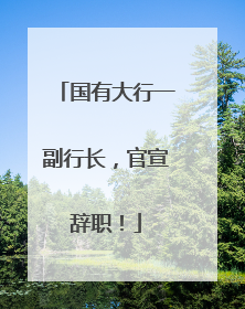 国有大行一副行长，官宣辞职！