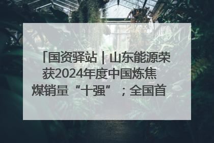 国资驿站｜山东能源荣获2024年度中国炼焦煤销量“十强”；全国首例铁路盖上智慧物流园钢结构主体完工