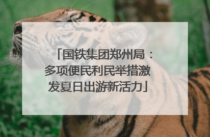 国铁集团郑州局：多项便民利民举措激发夏日出游新活力