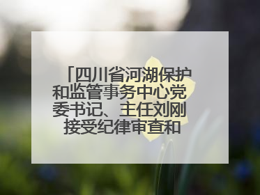 四川省河湖保护和监管事务中心党委书记、主任刘刚 接受纪律审查和监察调查