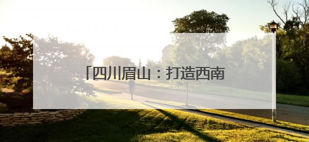 四川眉山：打造西南天府国际物流枢纽