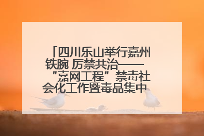 四川乐山举行嘉州铁腕 厉禁共治——“嘉网工程”禁毒社会化工作暨毒品集中销毁启动仪式
