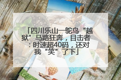 四川乐山一鸵鸟“越狱”马路狂奔，目击者：时速超40码，还对我“笑”了下