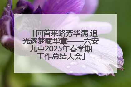 回首来路芳华满 追光逐梦赋华章——六安九中2025年春学期工作总结大会
