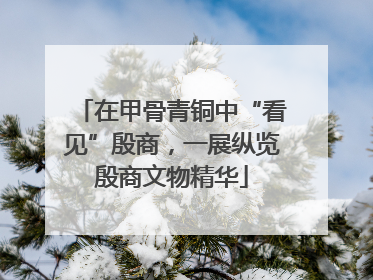 在甲骨青铜中“看见”殷商，一展纵览殷商文物精华