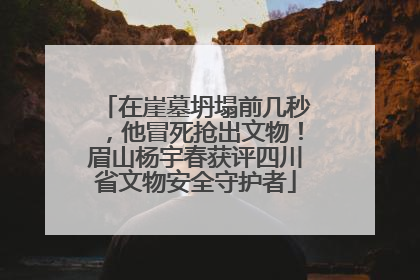 在崖墓坍塌前几秒，他冒死抢出文物！眉山杨宇春获评四川省文物安全守护者