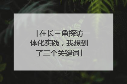 在长三角探访一体化实践，我想到了三个关键词