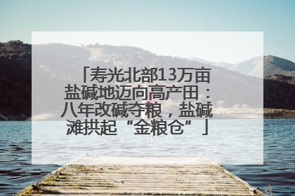 寿光北部13万亩盐碱地迈向高产田：八年改碱夺粮，盐碱滩拱起“金粮仓”